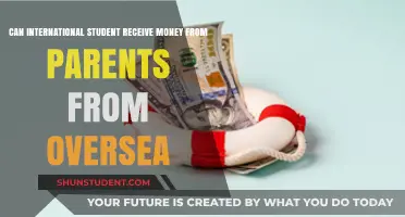 How International Students Can Receive Money From Abroad