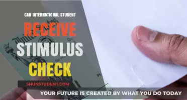 Stimulus Checks for International Students: Who Gets Them?