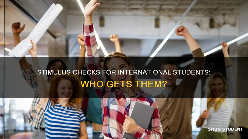can international student receive stimulus check