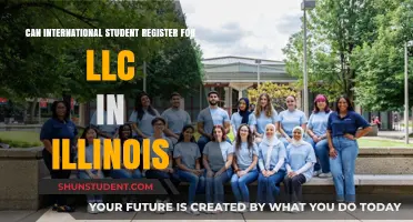 International Students: LLC Registration in Illinois