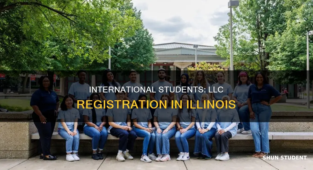 can international student register for llc in illinois