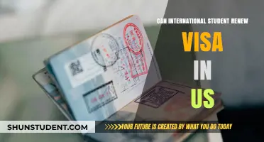 International Students: Renewing US Visas