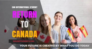 Returning to Canada: International Students' Guide