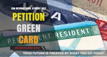 How International Students Can Self-Sponsor for a Green Card