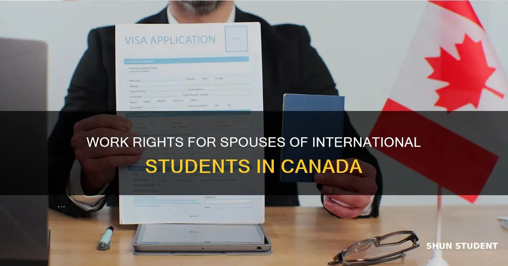 can international student spouse work in canada