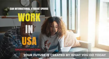 Spouse Work Rights for International Students in the US
