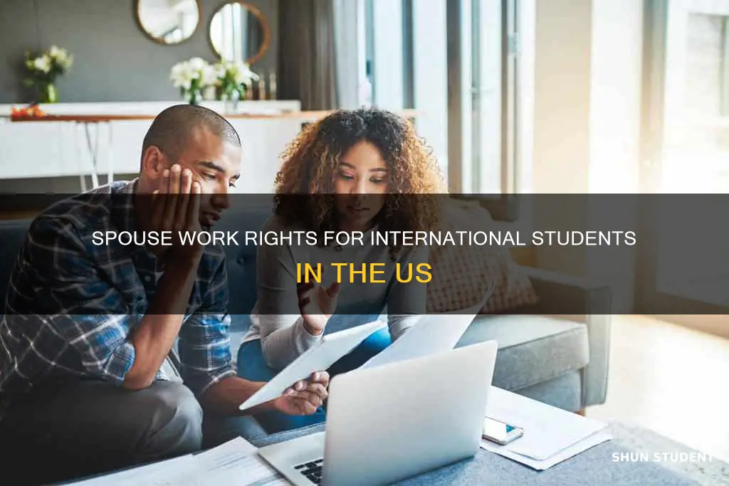 can international student spouse work in usa