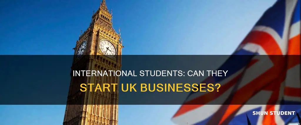 can international student start business in uk