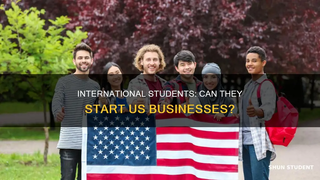 can international student start business usa