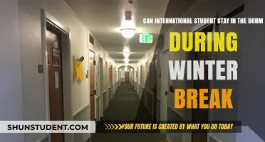 Staying in Dorms Over Winter Break: International Students