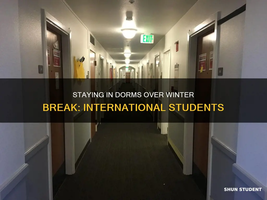 can international student stay in the dorm during winter break