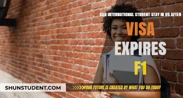 Staying in the US: F1 Visa Expiry and Options