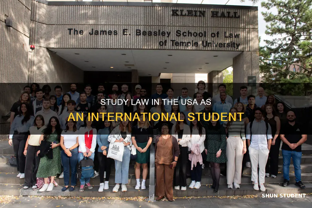 can international student study law in usa