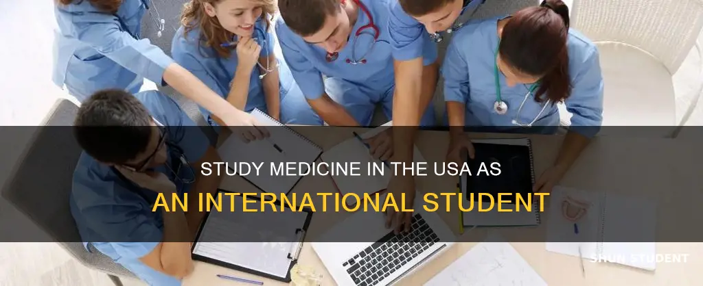 can international student study medicine in usa