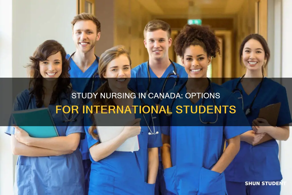 can international student study nursing in canada