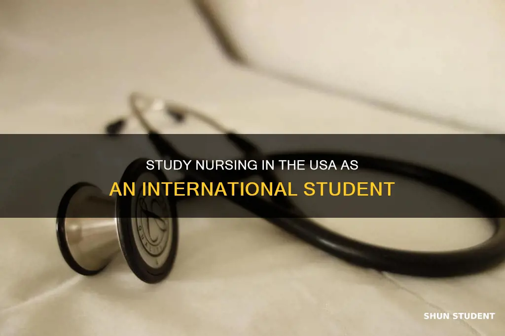 can international student study nursing in usa