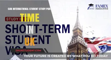International Students: Part-Time UK Study Options