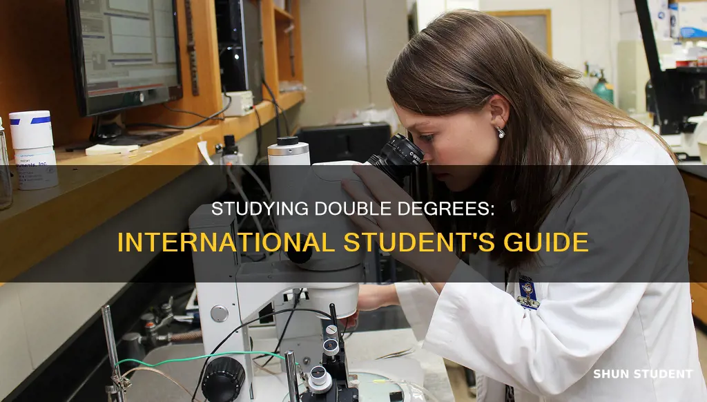 can international student study two courses at the same time