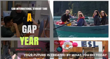 Gap Years: Options for International Students