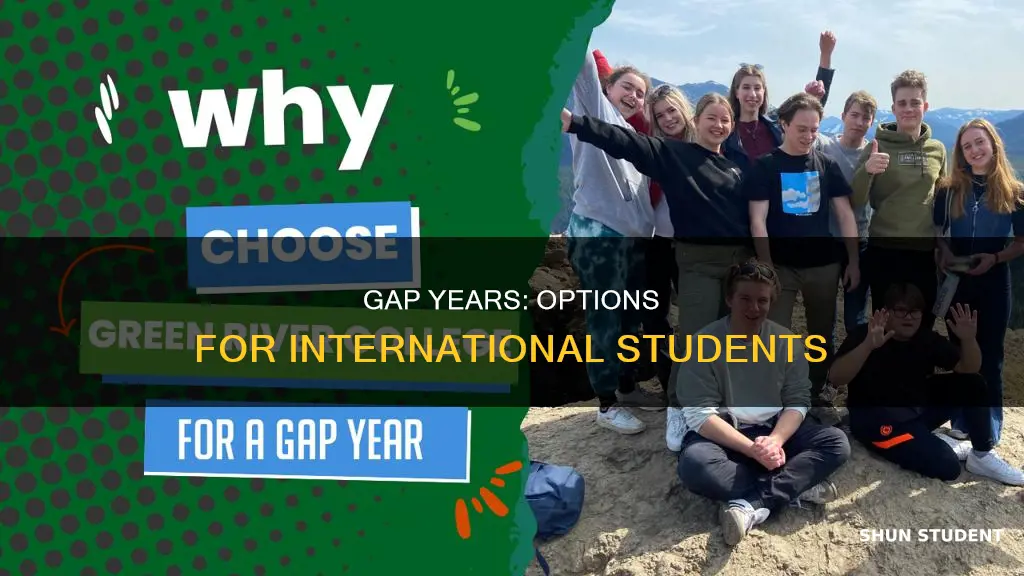 can international student take a gap year