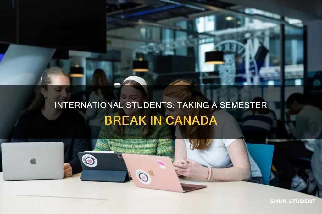 can international student take a semester break canada