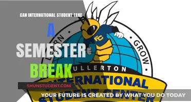 International Students: Taking a Semester Break?