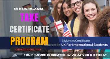 International Students: Certificate Programs Explored
