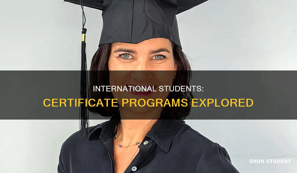 can international student take certificate program