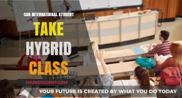 Hybrid Classes: An Option for International Students?
