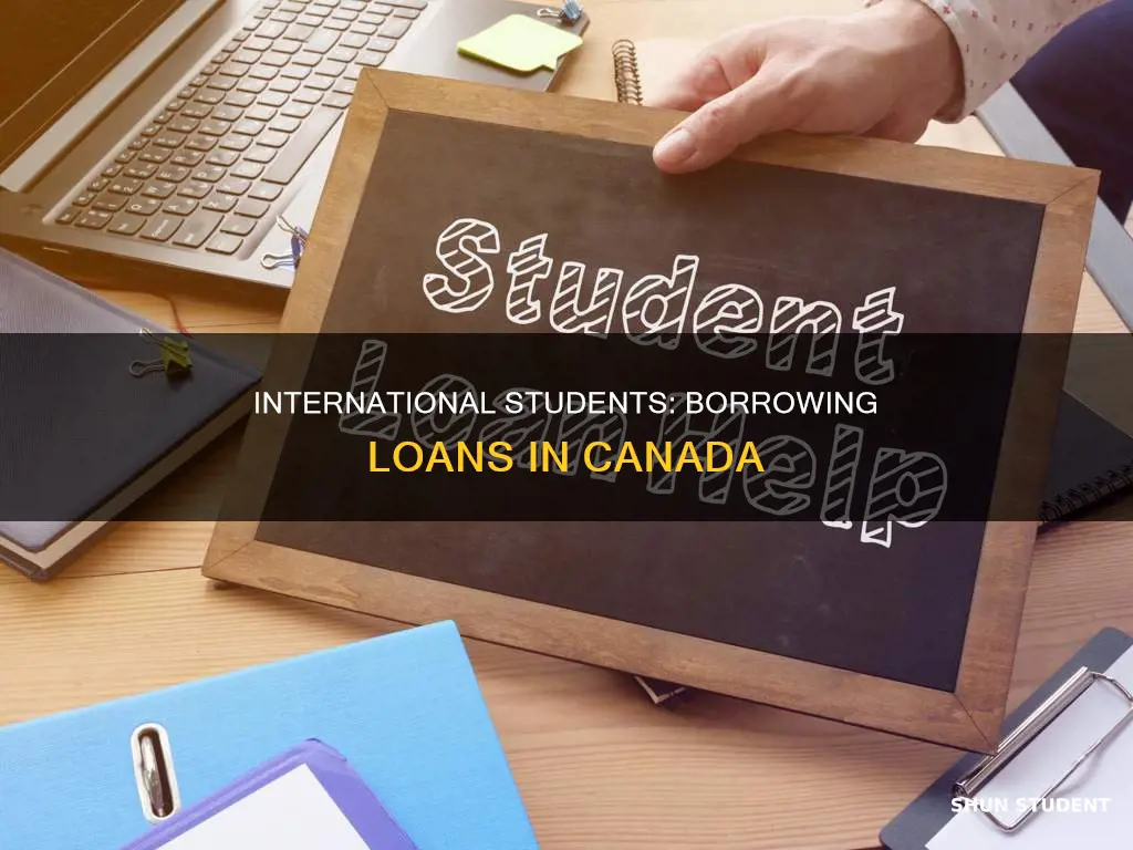 can international student take loan in canada