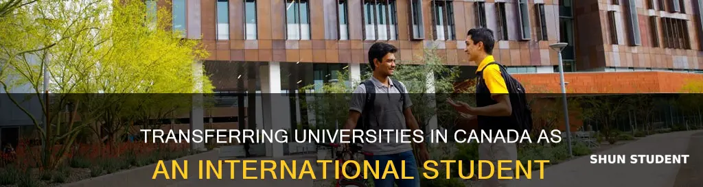 can international student transfer another university in canada