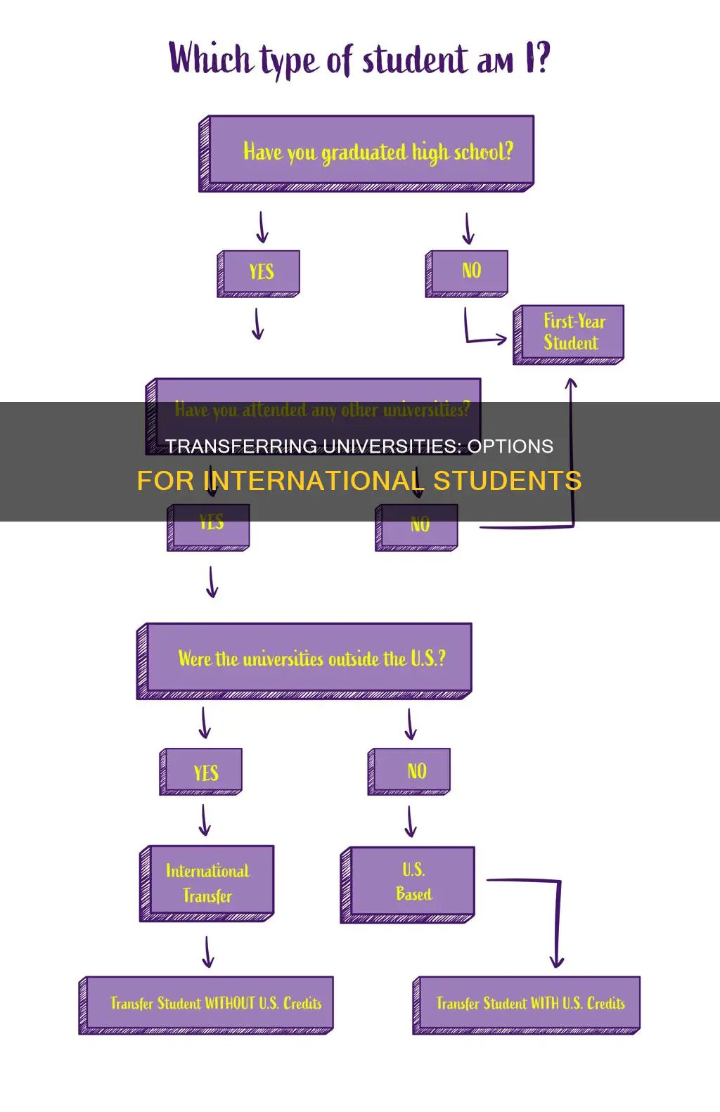 can international student transfer another university