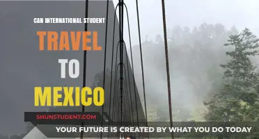 International Students: Exploring Mexico Travel Options
