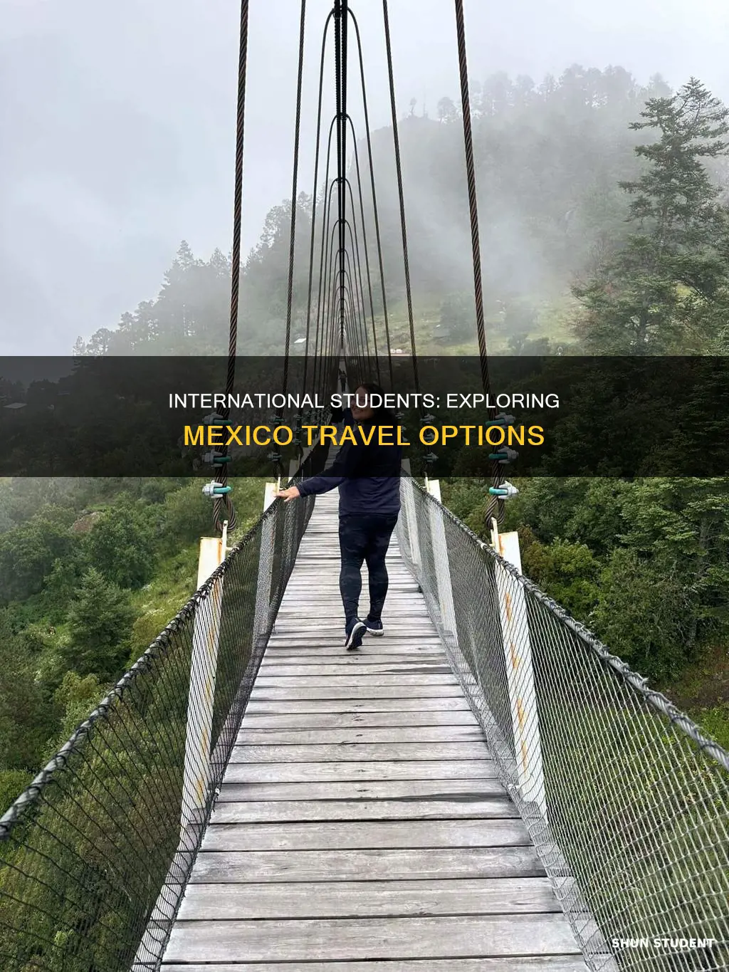 can international student travel to mexico