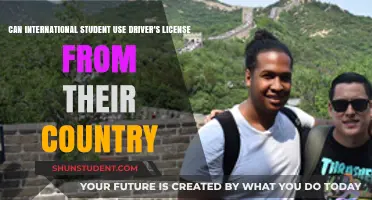 Using a Foreign Driver's License: International Student Rules