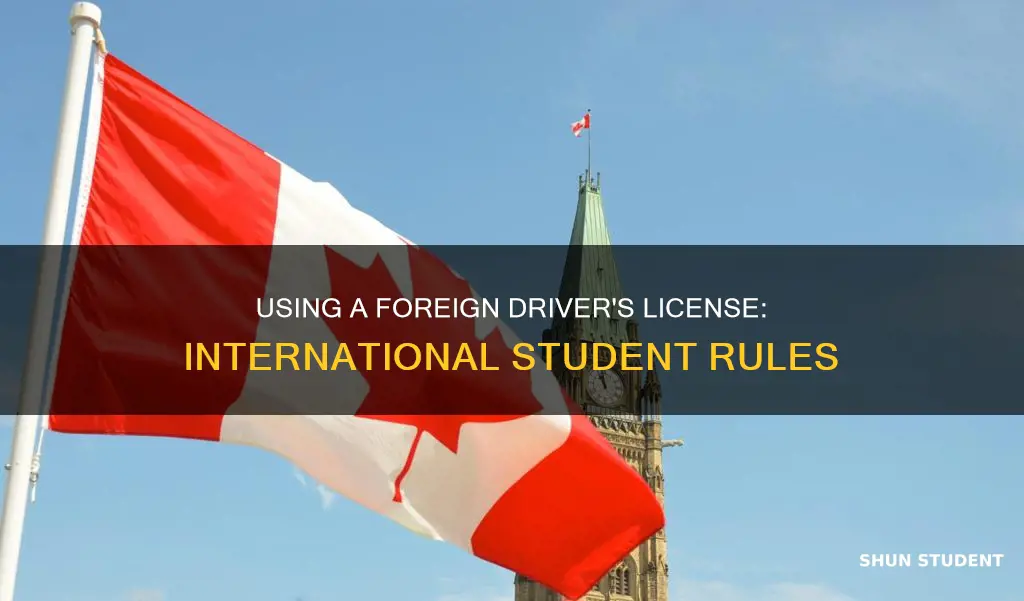 can international student use driver