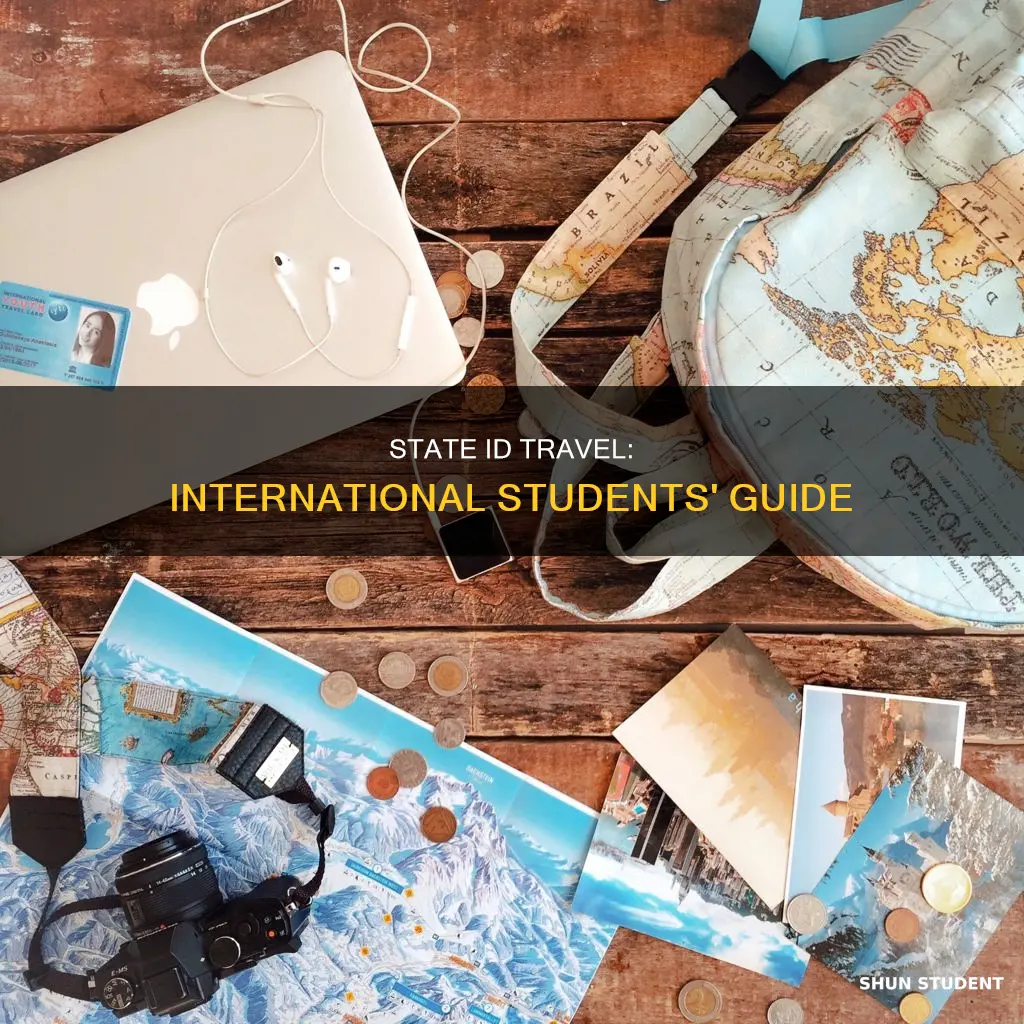 can international student use state id to travel