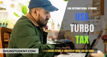 Turbo Tax for International Students: Is It Possible?