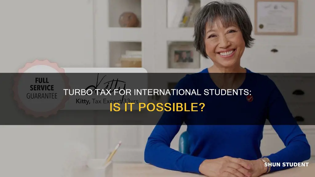 can international student use turbo tax
