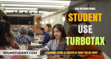 International Students and TurboTax: Is It Possible?