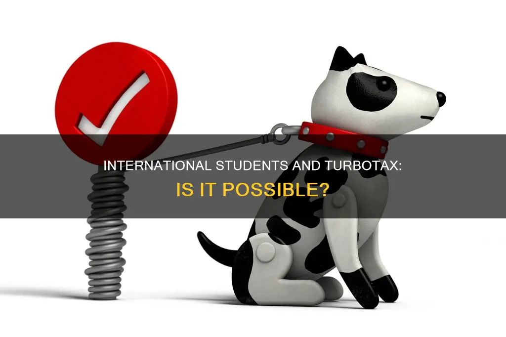 can international student use turbotax