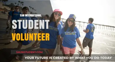 Volunteering Options for International Students
