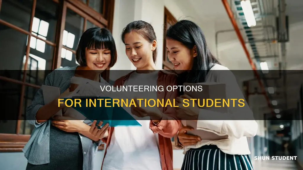 can international student volunteer