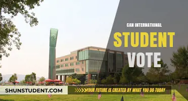 International Students: Can They Vote?