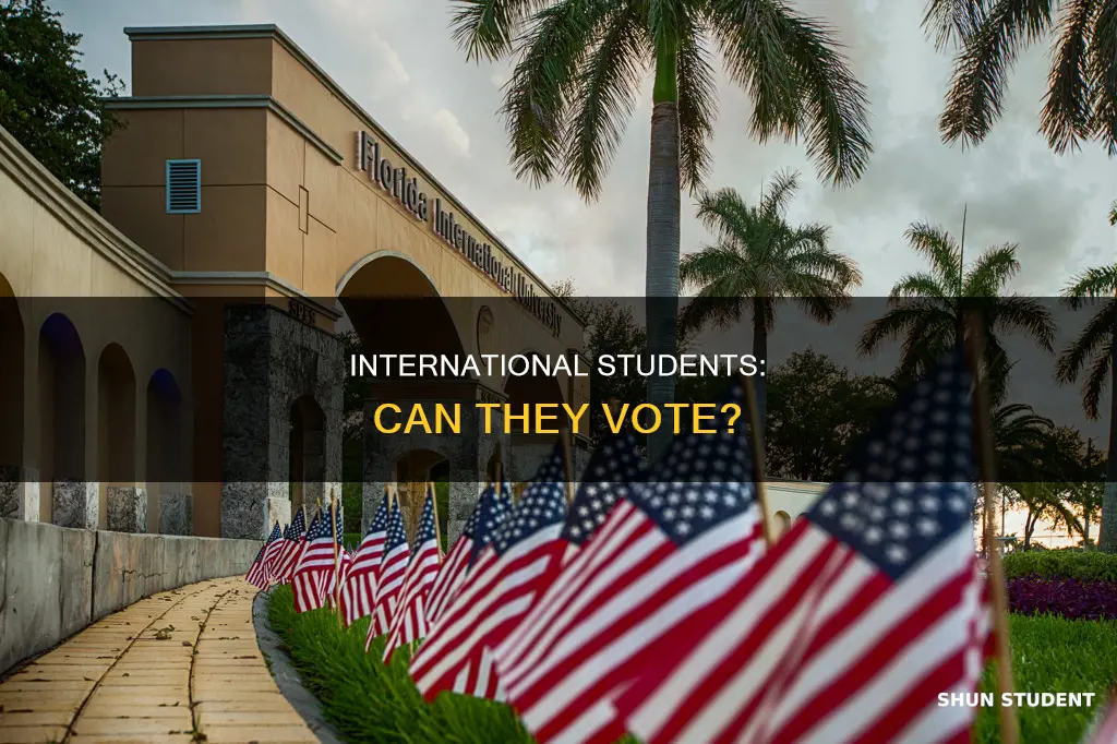 can international student vote