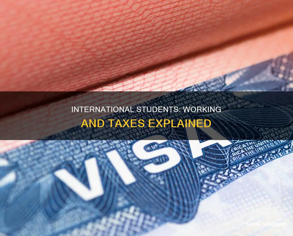 can international student who started working 1098 t