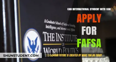 SSNs and FAFSA: What International Students Need to Know