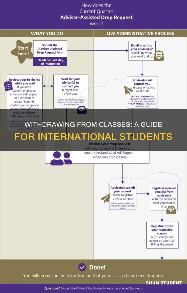 can international student withdraw class