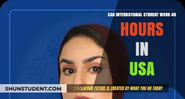 Working 40 Hours: Options for International Students in the USA