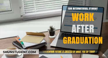 Work Options for International Students Post-Graduation